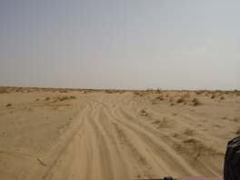 sandy tracks