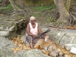 Fatou chopping coconuts